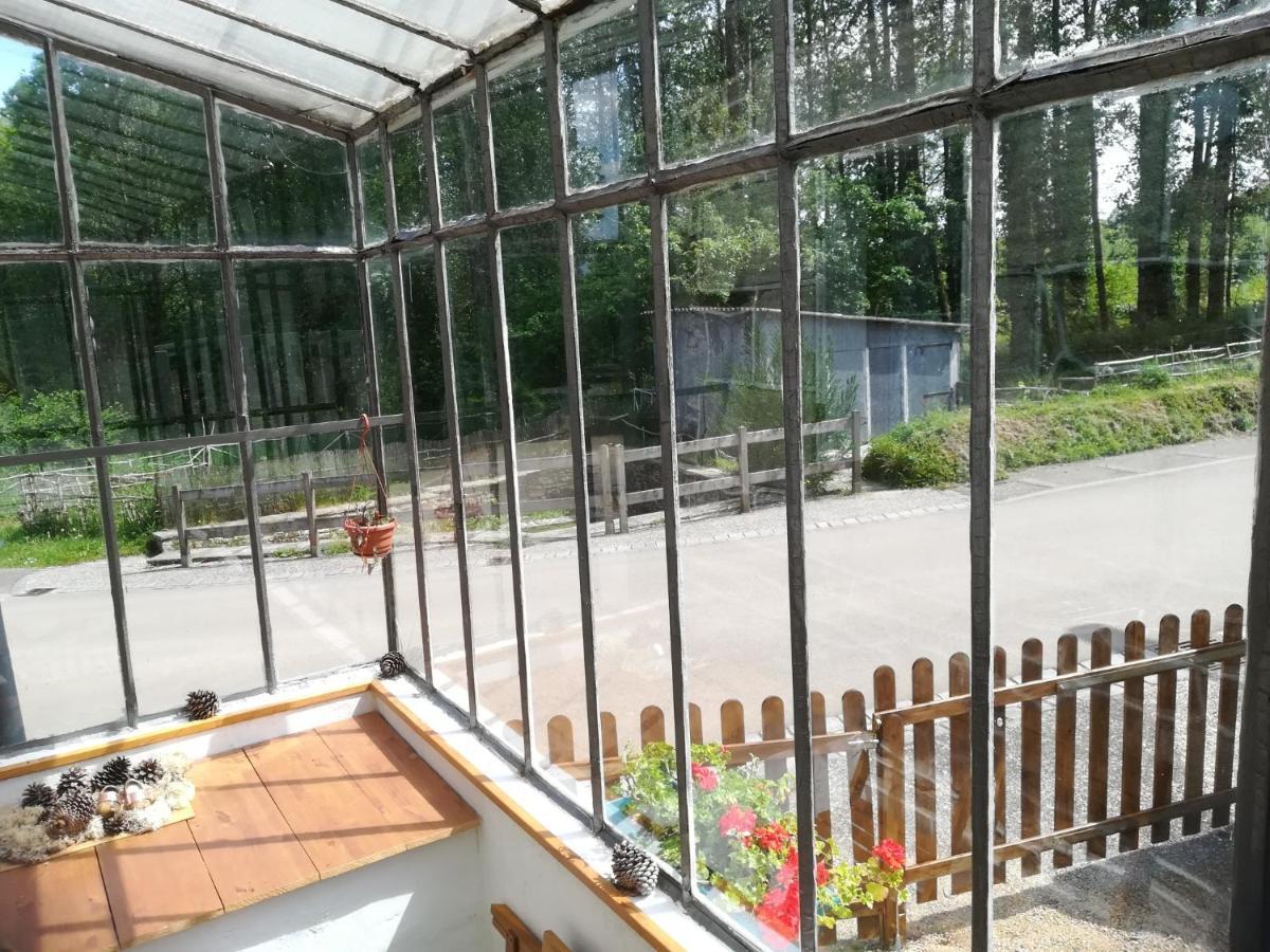 Petit Gite Cocoon Ty Bihan Ar Feunteun Scrignac Exterior foto